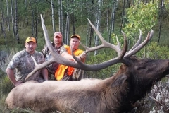 Elk 2025