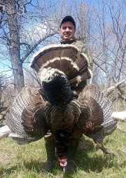 turkey22-19
