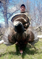 turkey22-5
